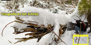 Beitragsbild des Blogbeitrags Fotografieren bei Schnee im Wald mit dem Smartphone