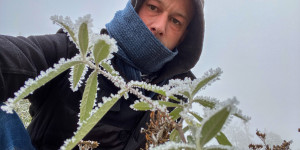 Beitragsbild des Blogbeitrags Eisiger Fotospaziergang im Wald im Winter bei Wind und Eis