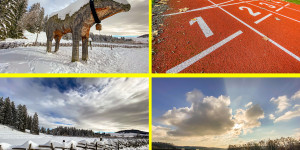Beitragsbild des Blogbeitrags Weitwinkel Optik im Smartphone