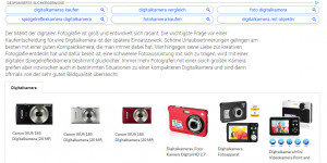 Beitragsbild des Blogbeitrags Kostenloses E-Book Digitalkamera Kaufberatung