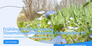 Beitragsbild des Blogbeitrags Frühling Frühlingsanfang Slowmotion Smartphone Videography 