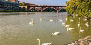 Beitragsbild des Blogbeitrags Photowalk Maribor Fotoworkshop Fotokurs in Slowenien Mai 2022