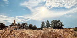 Beitragsbild des Blogbeitrags Sucher suchen und Finder finden Location für dein nächstes Foto und Video Projekt Locationscout
