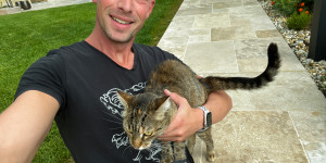 Beitragsbild des Blogbeitrags Schmusekatze während dem Fotografieren