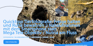 Beitragsbild des Blogbeitrags Quicktipp Tierfotografie: Fresse halten und Ruhe bewahren ;) Leise sein statt Mega Tele Objektiv / Nutria am Fluss // Naturfotografie Landschaftsfotografie