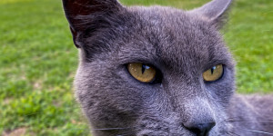 Beitragsbild des Blogbeitrags Unscharfer Hintergrund bei Produktfotos mit dem Smartphone