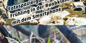 Beitragsbild des Blogbeitrags Fotospaziergang Frühling in der Raabklamm mit dem Smartphone 