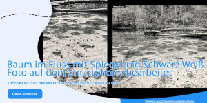 Beitragsbild des Blogbeitrags Baum im Fluss mit Spiegelung Schwarz Weiß // Foto auf dem Smartphone bearbeitet // iOS iPhone