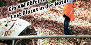 Beitragsbild des Blogbeitrags Ein VW Käfer im Wald Lost Places in der Natur 