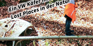Beitragsbild des Blogbeitrags Ein VW Käfer im Wald Lost Places in der Natur