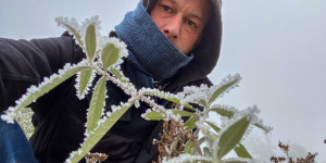 Beitragsbild des Blogbeitrags Eisiger Fotospaziergang im Wald im Winter bei Wind und Eis 