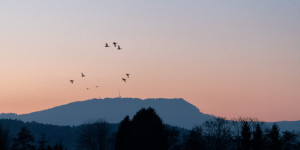 Beitragsbild des Blogbeitrags Fotospaziergang im Herbst bei Sonnenuntergang und Objektivtest Tamron 35-150mm F 2.8-5 Di VC OSD inkl. Bildbearbeitung RAW Dateien 