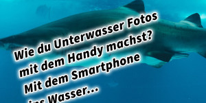 Beitragsbild des Blogbeitrags Wie du Unterwasser Fotos und Videos mit dem Handy machst? Mit dem Smartphone ins Wasser… 