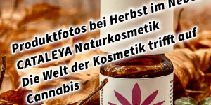 Beitragsbild des Blogbeitrags Produktfotos bei Herbst im Nebel CATALEYA Naturkosmetik Die Welt der Kosmetik trifft auf Cannabis 