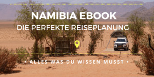 Beitragsbild des Blogbeitrags Namibia eBook Reiseführer für Selbstfahrer: Alles was du wissen musst! von life-to-go.com