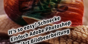Beitragsbild des Blogbeitrags Its so easy! Schnecke Einfach Adobe Photoshop DigiArt Bildbearbeitung 
