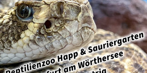 Beitragsbild des Blogbeitrags Reptilienzoo Happ & Sauriergarten in Klagenfurt am Wörthersee in Kärnten #visitaustria