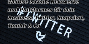 Beitragsbild des Blogbeitrags Weitere Soziale Netzwerke und Plattformen für dein Business: Twitter, Snapchat, Tumblr & Co