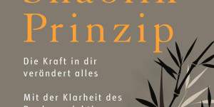 Beitragsbild des Blogbeitrags Das Shaolin-Prinzip: Die Kraft in dir verändert alles. Mit der Klarheit des Denkens richtige Entscheidungen treffen und umsetzen von Bernhard Möstl 