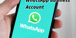 Beitragsbild des Blogbeitrags Verwende WhatsApp Business für deine Produkte und Dienstleistungen