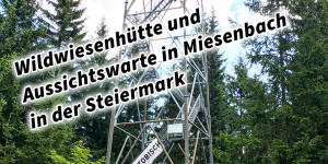 Beitragsbild des Blogbeitrags Wildwiesenhütte und Aussichtswarte in Miesenbach in der Steiermark 