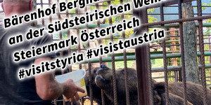 Beitragsbild des Blogbeitrags Bärenhof Berghausen an der Südsteirischen Weinstraße Steiermark Österreich #visitstyria #visistaustria 