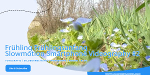 Beitragsbild des Blogbeitrags Eindrucksvolle Slowmotion Videografie mit dem Smartphone im Frühling Frühlingsanfang Videography