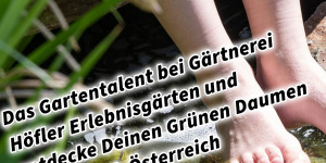 Beitragsbild des Blogbeitrags Das Gartentalent bei Gärtnerei Höfler Erlebnisgärten und entdecke Deinen Grünen Daumen Steiermark Österreich