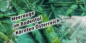 Beitragsbild des Blogbeitrags Meerauge im Bodental Kärnten Österreich 