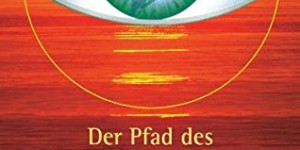 Beitragsbild des Blogbeitrags Der Pfad des friedvollen Kriegers: Das Buch, das Leben verändert von Dan Millman 