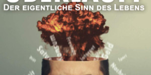 Beitragsbild des Blogbeitrags Wenn der Kopf überläuft: Der eigentliche Sinn des Lebens von Sebastian Dela