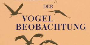 Beitragsbild des Blogbeitrags Die Kraft der Vogelbeobachtung: 63 Anleitungen zu kleinen Auszeiten im Alltag von Angelika Nelson und Holly Merker 