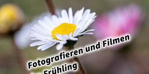 Beitragsbild des Blogbeitrags Fotografieren und Filmen im Frühling kreative Fotos und Videos mit Kamera und Smartphone  