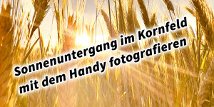 Beitragsbild des Blogbeitrags Sonnenuntergang im Kornfeld mit dem Handy fotografiert Weitwinkel statt einfach knipsen Apple iPhone iOS Smartphone Photography 