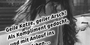 Beitragsbild des Blogbeitrags Geile Katze, geiler Arsch! Als Kompliment gedacht, und mit Anlauf ins Fettnäpfchen…