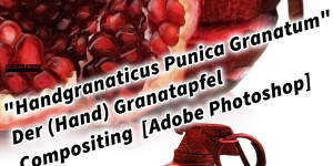 Beitragsbild des Blogbeitrags „Handgranaticus Punica Granatum“ Der (Hand) Granatapfel Compositing  [Adobe Photoshop] 