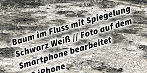 Beitragsbild des Blogbeitrags Baum im Fluss mit Spiegelung Schwarz Weiß // Foto auf dem Smartphone bearbeitet // iOS iPhone