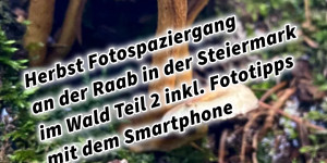Beitragsbild des Blogbeitrags Herbst Fotospaziergang an der Raab in der Steiermark im Wald Teil 2 inkl. Fototipps mit dem Smartphone 