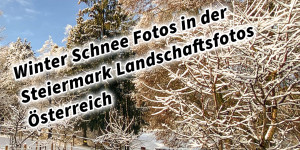 Beitragsbild des Blogbeitrags Winter Schnee Fotos Natur in der Steiermark Landschaftsfotos Österreich 