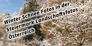Beitragsbild des Blogbeitrags Winter Schnee Fotos Natur in der Steiermark Landschaftsfotos Österreich