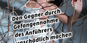 Beitragsbild des Blogbeitrags Den Gegner durch Gefangennahme des Anführers unschädlich machen 36 Strategeme