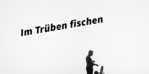 Beitragsbild des Blogbeitrags Im Trüben fischen 36 Strategeme