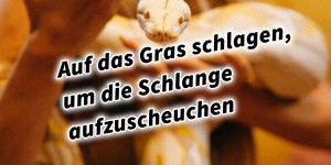 Beitragsbild des Blogbeitrags Auf das Gras schlagen, um die Schlange aufzuscheuchen 36 Strategeme