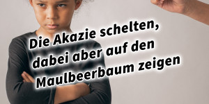 Beitragsbild des Blogbeitrags Die Akazie schelten, dabei aber auf den Maulbeerbaum zeigen 36 Strategeme