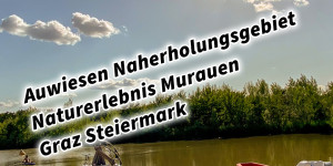 Beitragsbild des Blogbeitrags Auwiesen Naherholungsgebiet Naturerlebnis Murauen Graz Steiermark #visitstyria #visitaustria