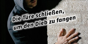 Beitragsbild des Blogbeitrags Die Türe schließen, um den Dieb zu fangen 36 Strategeme