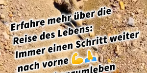 Beitragsbild des Blogbeitrags Erfahre mehr über die Reise des Lebens: Immer einen Schritt weiter nach vorne