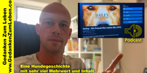 Beitragsbild des Blogbeitrags Eine Hundegeschichte mit sehr viel Mehrwert und Inhalt / Bailey – Ein Freund fürs Leben 