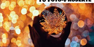 Beitragsbild des Blogbeitrags Glaskugel Fotografie: außergewöhnliche Fotos mit Wow-Effekt von Christina Key