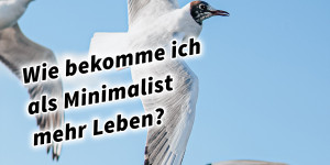 Beitragsbild des Blogbeitrags Wie bekomme ich als Minimalist mehr Leben? 